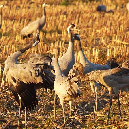 Ferienhaus Hus Utblick 8a
