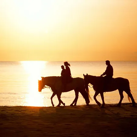 Hus Utblick 8a Ferienhaus Fuhlendorf (Mecklenburg-Vorpommern)
