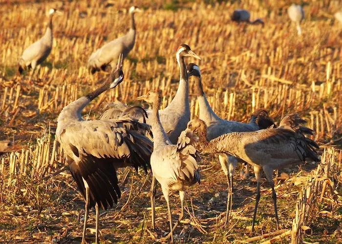 Σπίτι διακοπών Hus Utblick 8a